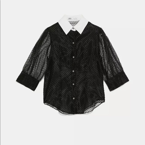 NWT Zara French dot sheer blouse - Picture 3 of 6